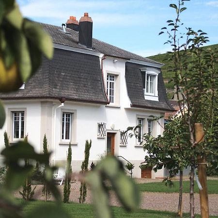 Les Charmes De La Vallee Noble Soultzmatt Kültér fotó